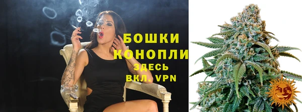 дурь Карпинск
