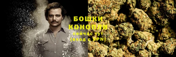 дурь Карпинск