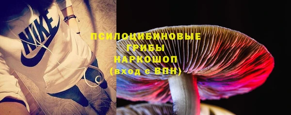 прущая мука Карталы